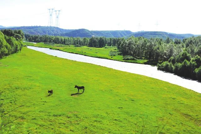 山西实施"七河"流域生态保护 汾河生态全面好转