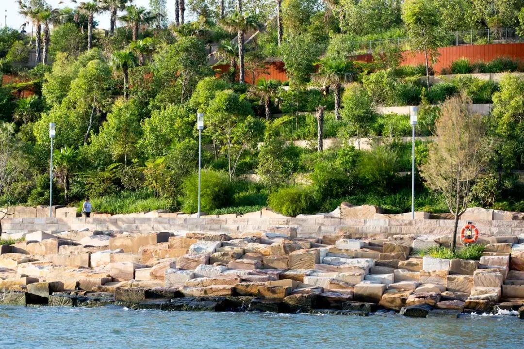 barangaroo-reserve-pwp