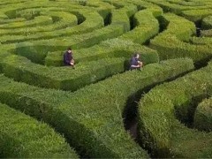 植物迷宫 · 趣玩景观新模式