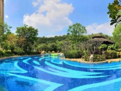 鹿湖国际温泉度假酒店 / 棕榈设计有限公司广州区域