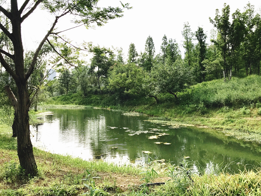 上秦淮湿地公园引导区景观 / 奥澜设计