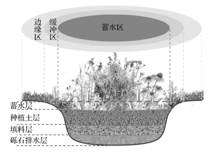 植物配置雨水花园里的那些植物们