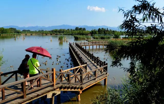 北京野鸭湖国家湿地公园 / 易兰设计