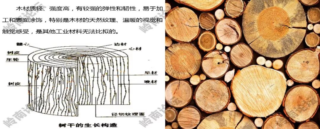 景观常用木材有哪些你知道吗