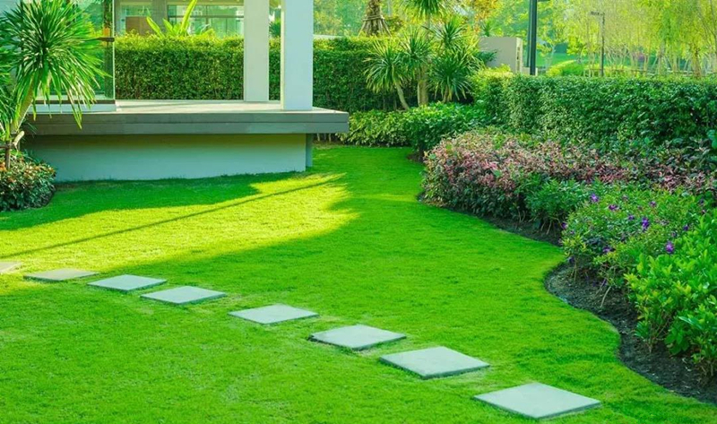 景观草坪 · 会呼吸的绿色空间