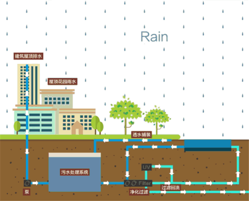 雨水花园 · 最美生态景观实力派